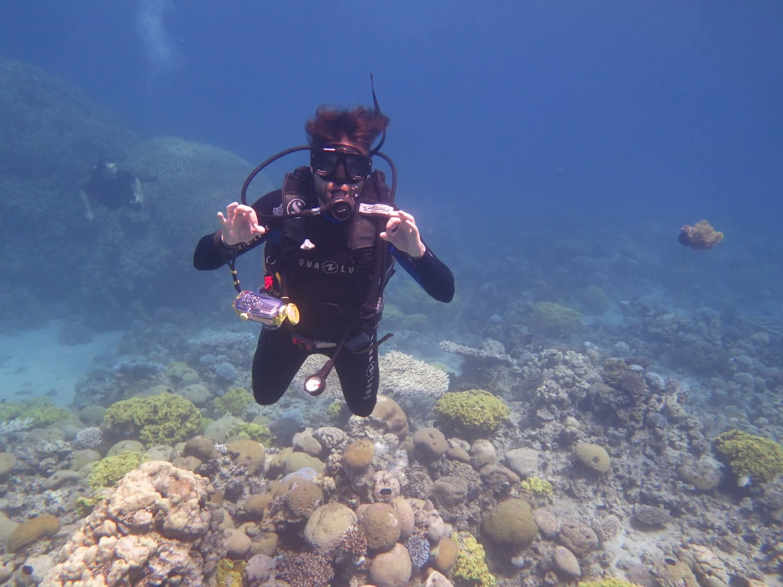 Aqaba diving